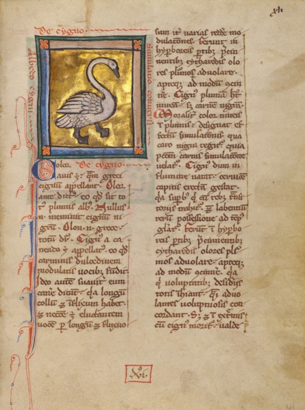 A Swan; Bestiary, about 1270. Creator: Unknown.