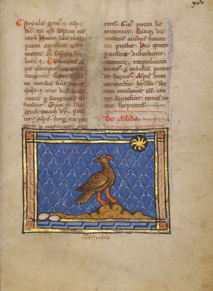 An Ostrich; Bestiary, about 1270. Creator: Unknown.