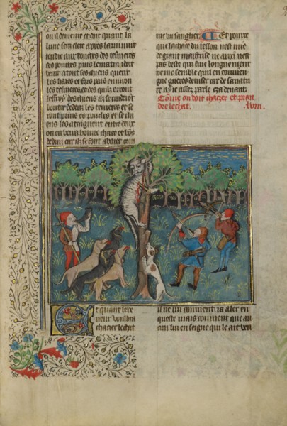 A Hunter and Dogs Attacking a Wild Cat up a Tree; Livre de la Chasse, about 1430-1440. Creator: Unknown.