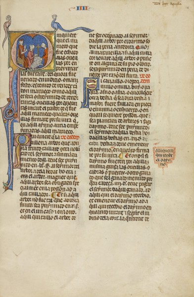 Initial Q: A Judge Pointing to Two Men with a Ram; Vidal Mayor, about 1290-1310. Creators: Unknown, Michael Lupi de Çandiu.