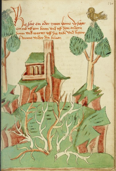 A Landscape with Trees, Thorn Bushes, and a Dove; Barlaam und Josaphat, 1469. Creators: Hans Schilling, Diebolt Lauber.