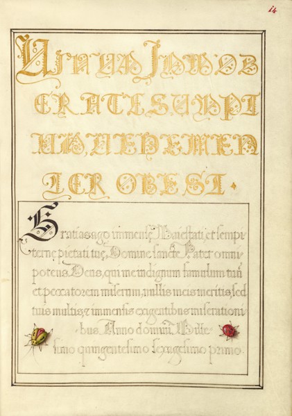 Beetlelike Insects; Mira calligraphiae monumenta, 1561-1562; illumination added 1591-1596. Creator: Joris Hoefnagel.