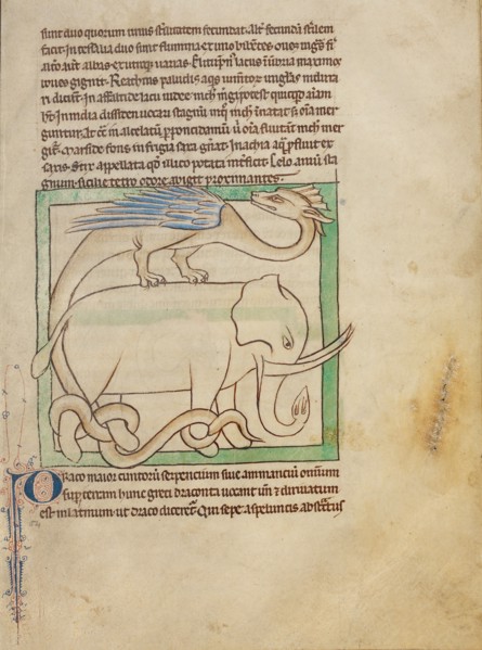 A Dragon; Northumberland Bestiary, about 1250-1260. Creator: Unknown.