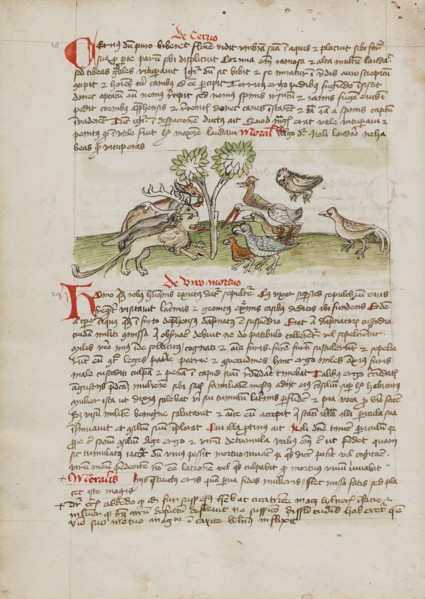 Animals Gathered under a Tree; Fables, third quarter of 15th century. Creator: Unknown.