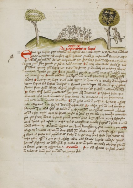 A Flock of Birds under a Tree including a Crowned Eagle with a..., third quarter of 15th century. Creator: Unknown.