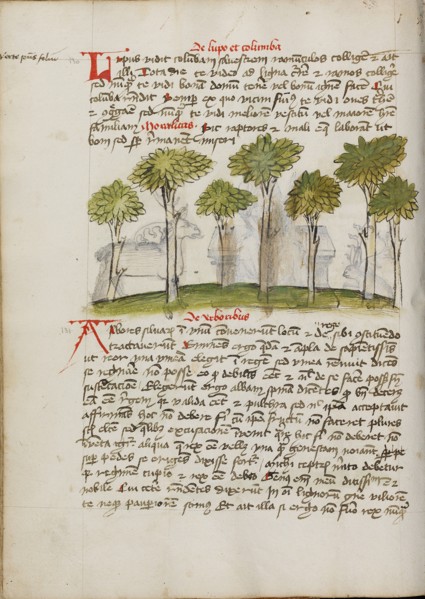 A Forest; Fables, third quarter of 15th century. Creator: Unknown.