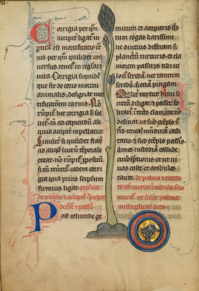A Dead Turtle Dove in a Nest; De Natura Avium; De Pastoribus et Ovibus, 1277 or after. Creator: Unknown.
