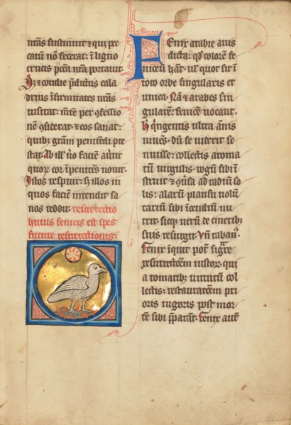 A Phoenix; De Natura Avium; De Pastoribus et Ovibus; Bestiarium, 1277 or after. Creator: Unknown.