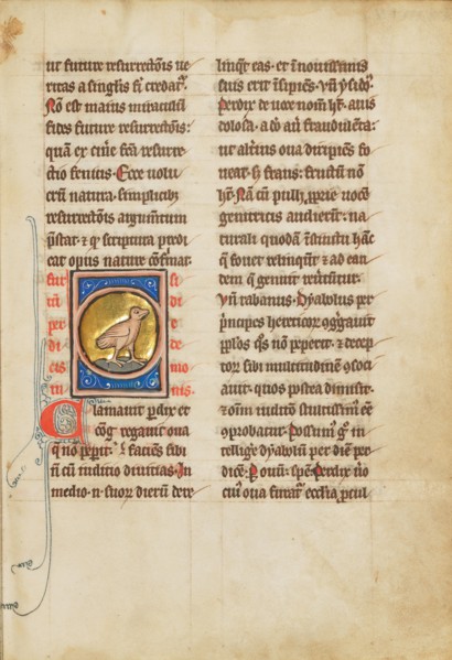 A Partridge; De Natura Avium; De Pastoribus et Ovibus; Bestiarium, 1277 or after. Creator: Unknown.