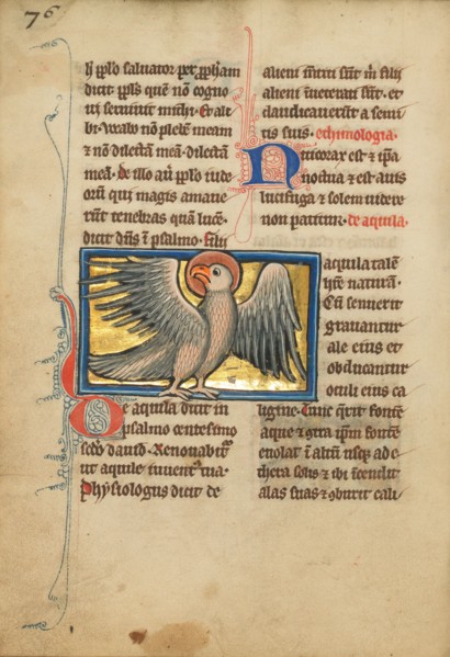 An Eagle; De Natura Avium; De Pastoribus et Ovibus, 1277 or after. Creator: Unknown.