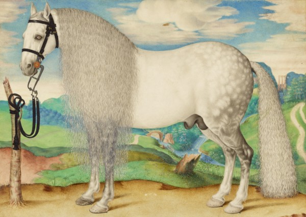 A Dappled Gray Stallion Tethered in a Landscape, about 1584-1587. Creator: Unknown.