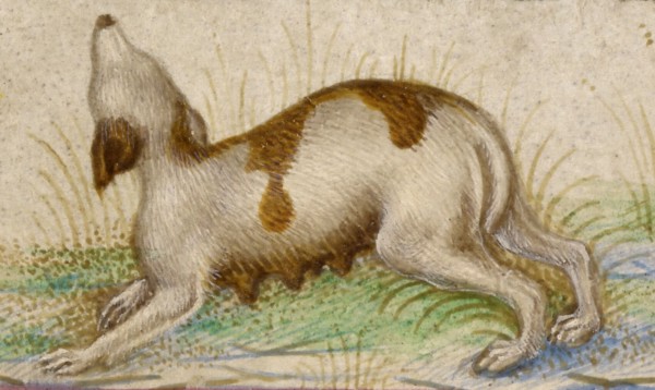 Gualenghi-d'Este Hours, about 1469. Creator: Taddeo Crivelli.