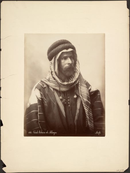Cheik bédouin du Palmyre, about 1870-1880. Creator: Felix Bonfils.