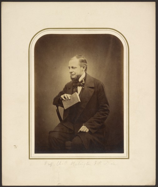Prof. Ch. C. Babington, about 1855. Creator: Maull & Polyblank.
