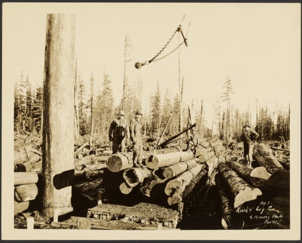 Logging/ Timber Scene, about 1910-1945. Creator: Darius Kinsey.