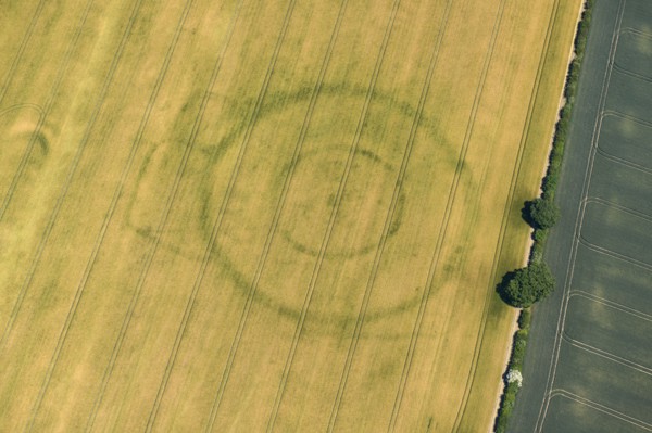 Cropmarks of a Neolithic henge and later enclosures at Paddock Hill, East Riding of Yorkshire, 2022. Creator: Emma Trevarthen.