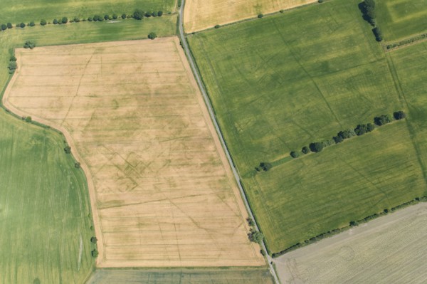 Cropmarks of an Iron Age or Roman field system and settlement near South Duffield, North Yorks, 2022 Creator: Robyn Andrews.