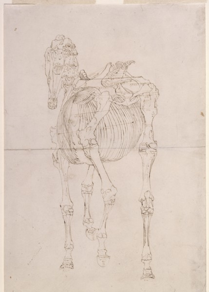Measured working drawing for 'The Third Anatomical Table of the Skeleton of the Horse', 1756. Creator: George Stubbs.