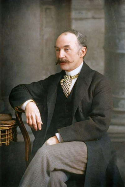 Thomas Hardy, English writer and poet, c1890. Creator: W&D Downey.