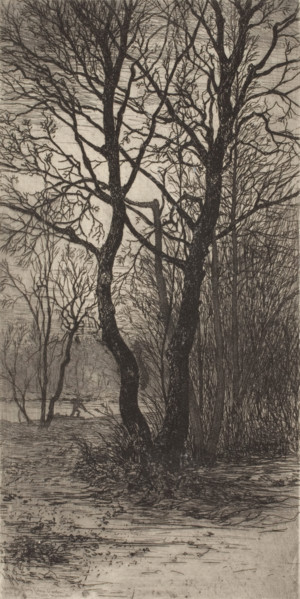 Nymphenburg Palace Garden, near Munich, 1884. Creator: Lewis Henry Meakin.