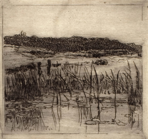 Marsh, c1880-1900. Creator: William Forsyth.