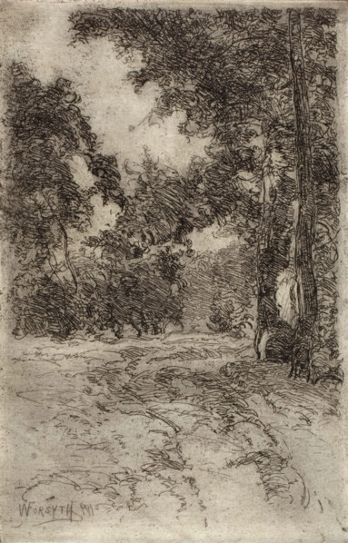 Williams Creek, 1911. Creator: William Forsyth.