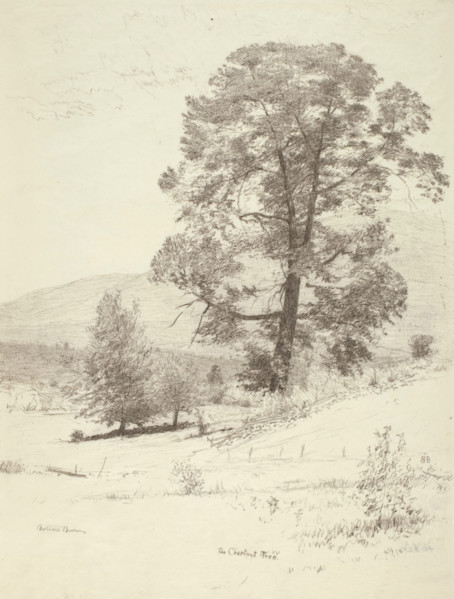 The Chestnut Tree, c1920s. Creator: Bolton Coit Brown.