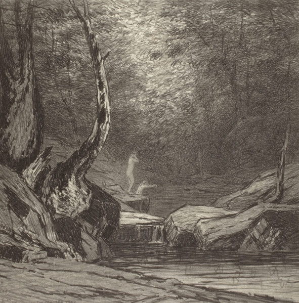 Crooked Tree, c1920s. Creator: Bolton Coit Brown.