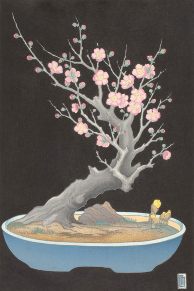 Japanese Dwarf Plum, 1928. Creator: Lillian May Miller.