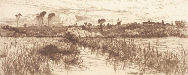The Haunt of the Muskrat - Easthampton, 1884. Creator: Mary Norman.