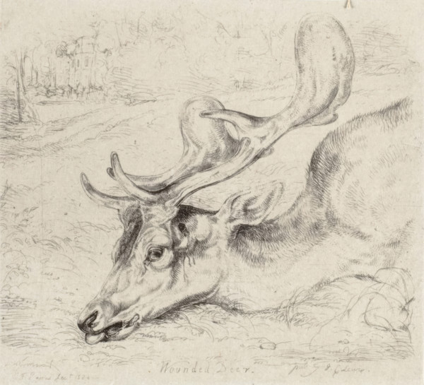 Wounded Deer, 1824. Creator: John Frederick Lewis.