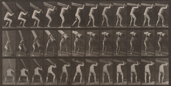 Man Lifting Beam: Plate 383, 1887. Creator: Eadweard J Muybridge.
