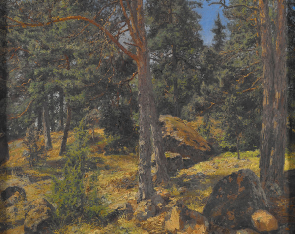 A Fir Bank, date unknown. Creator: Gottfrid Kallstenius.