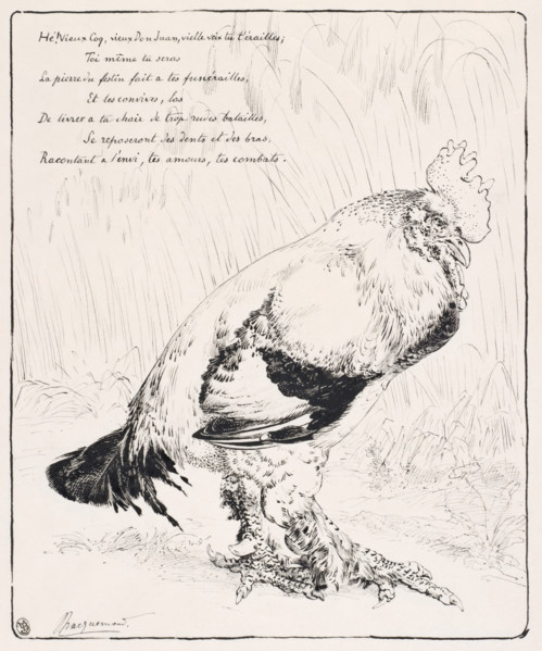 Le Coq (The Cock), 1882. Creator: Felix Bracquemond.