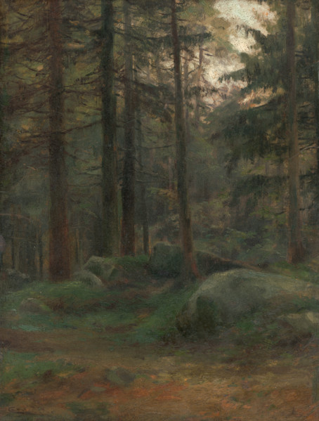 Interior of Coniferious Woods with Rocks, 1895-1900. Creator: Ludovit Cordak.