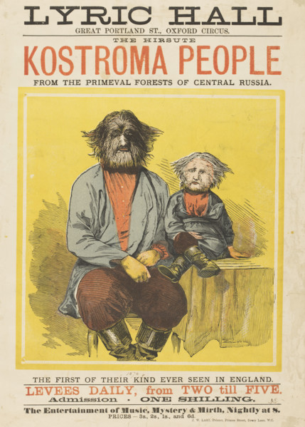 The Hirsute Kostroma People from the Primeval Forests of Central Russia, 1874. 'The First of Their