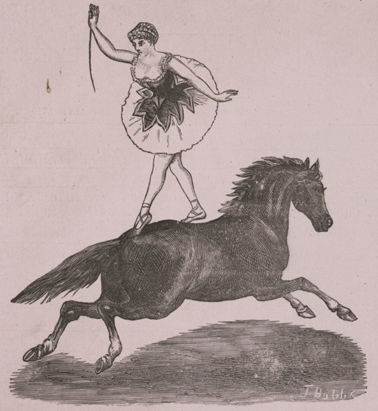 The Great International Cirque at the Theatre Royal, late 19th century. Illustration from an