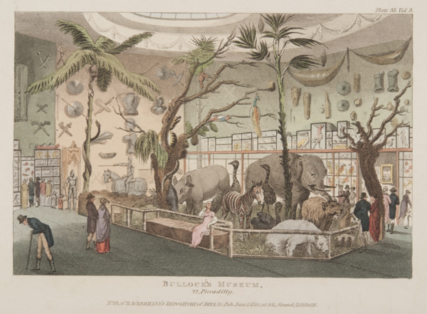 Bullock's Museum, 22 Piccadilly, c1815. British traveller, naturalist and antiquarian William