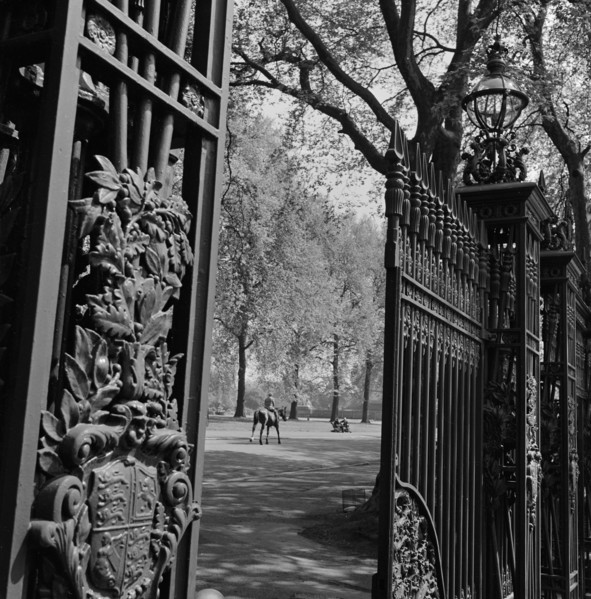 A view through one of the five pairs of elaborate cast iron gates at Queen's Gate, which leads into