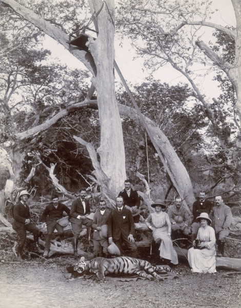 Lord and Lady Curzon and party posing with dead tiger, Nekonda, India, 1902.  George Nathaniel