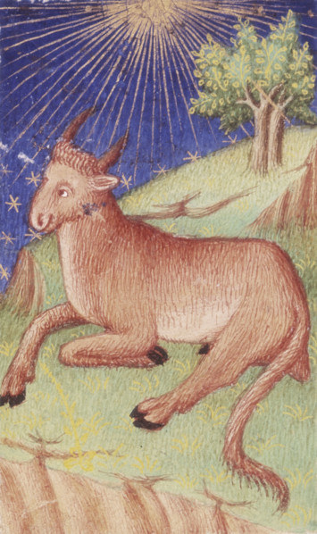 A bull lying down, 1423. Rays from the sun emanate from the top of the image. From the Bedford