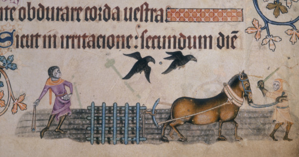 Two farm workers with a harrow, c1300-c1340. The man on the left uses a slingshot to chase away