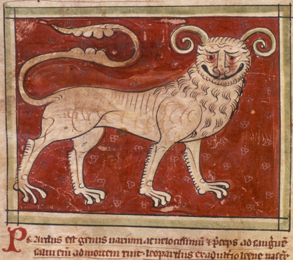 A leopard, 14th century. With a huge grin on its face and a long curly tail.
