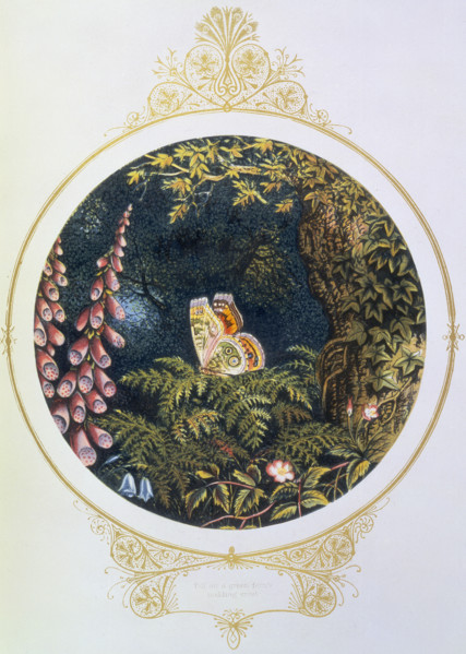 'Till on a green fern's nodding crest', 1870. From "Fairy Mary's Dream", written and illustrated by