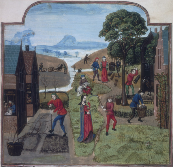 Labours of the Months, c1475-c1500. Showing 12 labours. Men digging the soil, cutting the grass