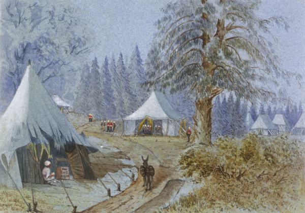 Tents pitched in the woods at Camp Gharreal, Murree, Punjab, 1870s. A servant sorts the mail in a