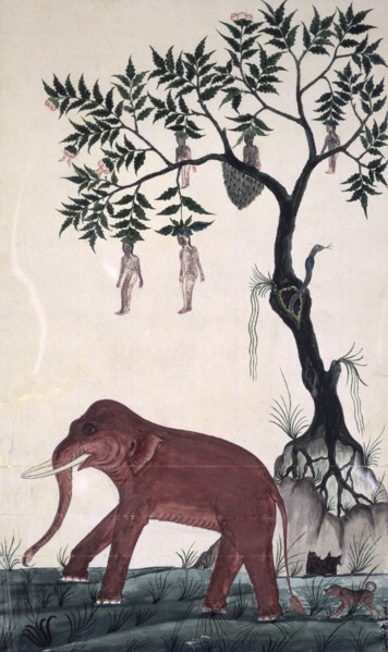'Lady fruits' & elephant. c.1824. An elephant and naked women growing from a magic tree in the