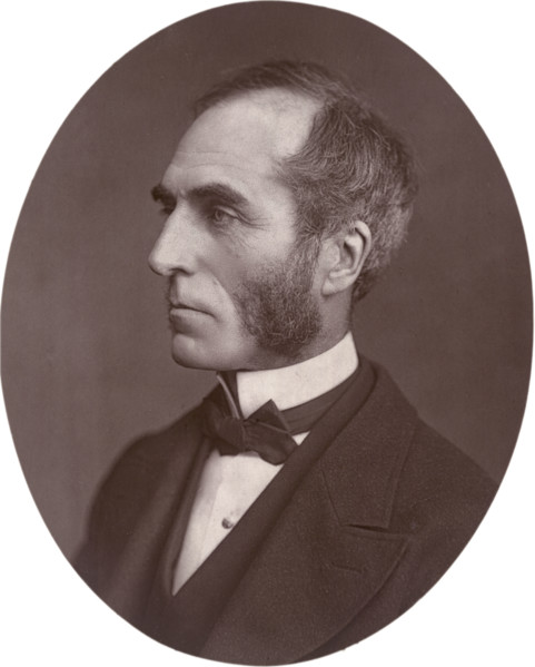 Professor Goldwin Smith, 1878. In 1858 Smith was appointed to the Regius Professorship of Modern