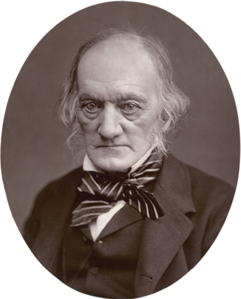 Richard Owen, 1878. After qualifying and practicing as a surgeon, Owen made major contributions in