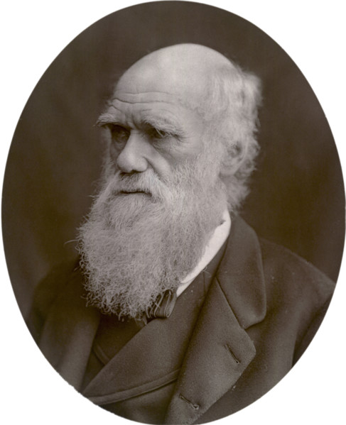 Charles Darwin, 1878. Darwin started his career on board the HMS 'Beagle' and spent six years